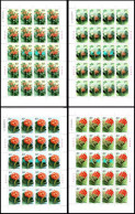 China 2000/2000-24 Flowers—Clivia Stamp Full Sheet 4v MNH - Blokken & Velletjes