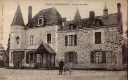 COSSE-LE-VIVIEN   ( MAYENNE )   CHATEAU DE SUBLAY - Other & Unclassified