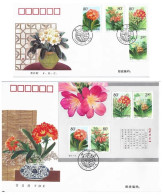 China FDC/2000-24 Flowers—Clivia 2v MNH - Blocks & Sheetlets