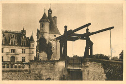  37 - CHENONCEAUX - LE CHÂTEAU - Chenonceaux