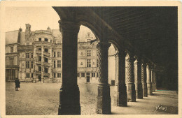 41 -  BLOIS LE CHÂTEAU - AILE FRANCOIS 1er - Blois