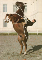 - SAUMUR. - Ecole Nationale D'Equitation - LE CADRE VOIR - "La Courbette". - - Horses