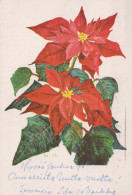 FLOWERS Vintage Ansichtskarte Postkarte CPSM #PAR807.A - Flowers