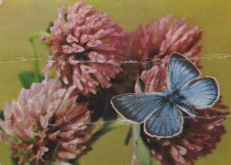 FLOWERS Vintage Postcard CPSM #PAR233.A - Blumen