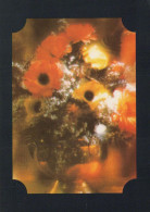 FLOWERS Vintage Ansichtskarte Postkarte CPSM #PAR217.A - Blumen
