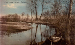 LE CHAMP FOURE A FREDUN  ( LOIRE ATLANTIQUE ) - Andere & Zonder Classificatie