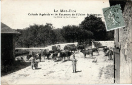 87. HAUTE-VIENNE - L'UNION. Colonie Agricole Et De Vacances Du MAS-ELOI. Cour De La Ferme. - Limoges