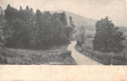 R334229 The Wrekin. Friths Series. Postcard. 1903 - World