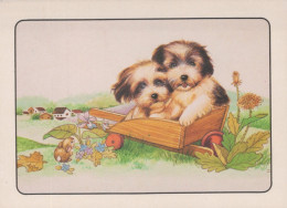 DOG Animals Vintage Postcard CPSM #PAN542.A - Perros