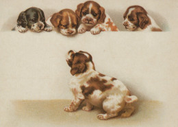 DOG Animals Vintage Postcard CPSM #PAN537.A - Perros