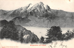 R332531 2443. Photoglob. Burgenstock Mit Pilatus. 1905 - World