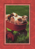 DOG Animals Vintage Postcard CPSM #PAN422.A - Perros