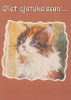 KATZE MIEZEKATZE Tier Vintage Ansichtskarte Postkarte CPSM #PAM640.A - Katzen