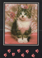 CHAT CHAT Animaux Vintage Carte Postale CPSM Unposted #PAM219.A - Gatti