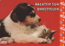 DOG AND CAT Animals Vintage Postcard CPSM #PAM051.A - Perros