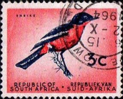 Afrique Du Sud Poste Obl Yv: 253 Mi:292 Laniarius Atrococcineus (TB Cachet Rond) - Oblitérés