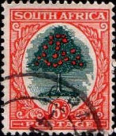 Afrique Du Sud Poste Obl Yv:  21 Mi:28 Oranger (TB Cachet Rond) - Usados