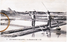 44 Loire Atlantique Marais Salants Récolte Du Sel - Sonstige & Ohne Zuordnung
