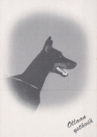 CHIEN Animaux Vintage Carte Postale CPSM #PAN965.A - Perros