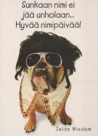 CANE Animale Vintage Cartolina CPSM #PAN834.A - Hunde