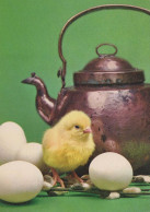 PÂQUES POULET ŒUF Vintage Carte Postale CPSM #PBP100.A - Easter