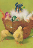 PÂQUES POULET ŒUF Vintage Carte Postale CPSM #PBO639.A - Easter