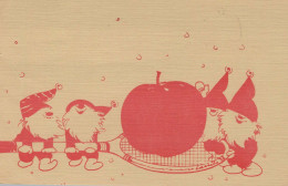 SANTA CLAUS Happy New Year Christmas GNOME Vintage Postcard CPSM #PBA911.A - Santa Claus