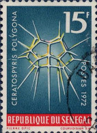 Sénégal (Rep) Poste Obl Yv: 379 Mi:507 Ceratospyris Polygona (cachet Rond) - Sénégal (1960-...)