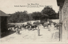 87. HAUTE-VIENNE - L'UNION. Colonie Agricole Et De Vacances Du MAS-ELOI. Cour De La Ferme. - Limoges