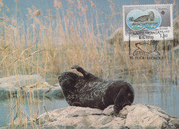 DICHTUNG Tier Vintage Ansichtskarte Postkarte CPSM #PBS639.A - Sonstige & Ohne Zuordnung