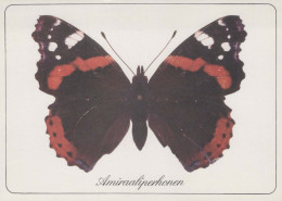 BUTTERFLIES Animals Vintage Postcard CPSM #PBS415.A - Vlinders