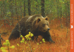 OURS Animaux Vintage Carte Postale CPSM #PBS273.A - Ours