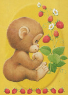 MONKEY Animals Vintage Postcard CPSM #PBR984.A - Monkeys