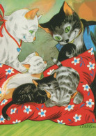 KATZE MIEZEKATZE Tier Vintage Ansichtskarte Postkarte CPSM #PBQ947.A - Gatti