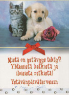 DOG Animals Vintage Postcard CPSM #PBQ433.A - Honden