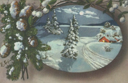 Feliz Año Navidad Vintage Tarjeta Postal CPSMPF #PKG210.A - Nieuwjaar