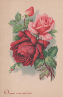 FLOWERS Vintage Postcard CPSMPF #PKG009.A - Blumen