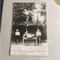 CPA De Ernée - Société De Gymnastique "La Jeanne D'Arc" D'Ernée (Mayenne), Exercices D'Acrobatie N°1112, Carte Animée - Ernee