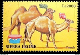 Sierra Leone - 2000 - Camels  - MNH. ( OL 03/03/2022 ) - Sierra Leona (1961-...)