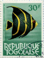 Togo (Rep) Poste Obl Yv: 402 Mi:397 Pomacanthus Arcuatus (Beau Cachet Rond) - Togo (1960-...)