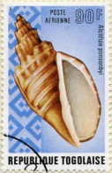 Togo (Rep) Avion Obl Yv:237/238 Coquillages (Beau Cachet Rond) - Togo (1960-...)