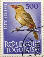 Togo (Rep) Avion Obl Yv: 42 Mi:406 Trachyphonus Margaritaceus (TB Cachet Rond) - Togo (1960-...)