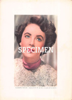 Elizabeth Taylor -  Big Format 18x13 Cm - Acteurs