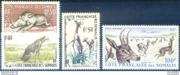 Costa Dei Somali. Fauna Selvatica 1958. - Dschibuti (1977-...)