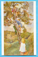 Pro Juventutekarte Nr. 120 - Der Apfelbaum Ohne Adresseindruck - Cartas & Documentos