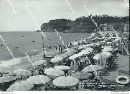 Bq460 Cartolina Celle Ligure Spiaggia Animata A Festosa Provincia Di  Savona - Savona