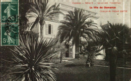 CPA  (06)     CANNES  Quartier Terrefial   La Villa Des Chamoerops   Clinique Du Docteur Bayle - Cannes