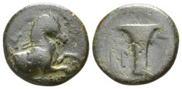 AEOLIS KYME HORSE FOREPART GREC ANCIEN Pièce 3.43g/15mm #ANT1001.17.F.A - Griechische Münzen