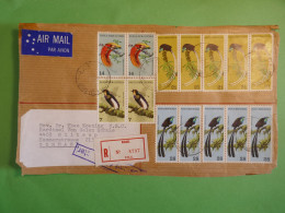 DO14 PAPOUASIE . PAPUA NEW GUINEA   SUPERBE  LETTRE DEVANT   1971 RABAUL A  WILTRUP GERMANY +BIRDS + AFF. GREAT +++++ - Papua New Guinea