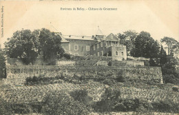 01 - ENVIRONS DE BELLEY - CHÂTEAU  DE GRAMMONT - Non Classés